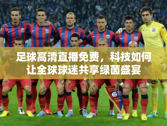 足球高清直播免费，科技如何让全球球迷共享绿茵盛宴