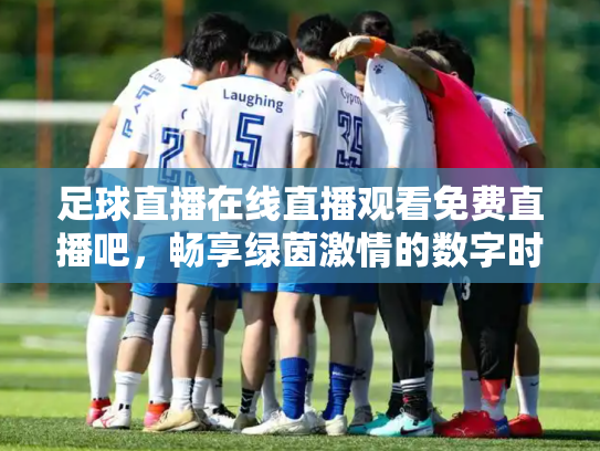 足球直播在线直播观看免费直播吧，畅享绿茵激情的数字时代