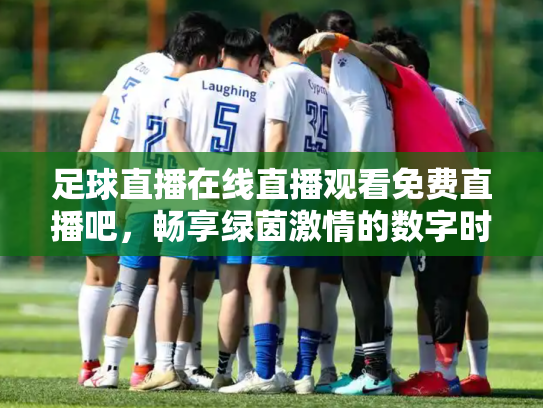 足球直播在线直播观看免费直播吧，畅享绿茵激情的数字时代