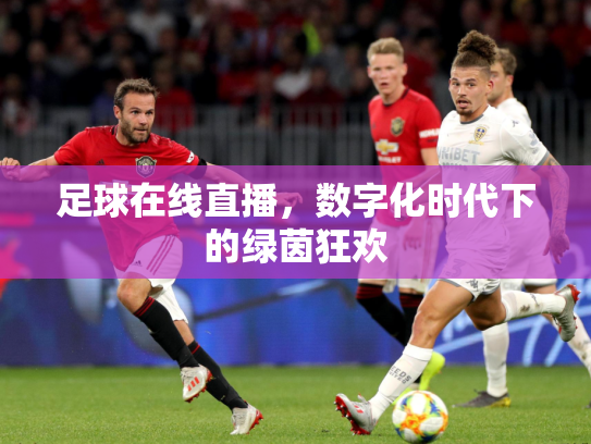 足球在线直播，数字化时代下的绿茵狂欢