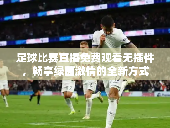 足球比赛直播免费观看无插件，畅享绿茵激情的全新方式