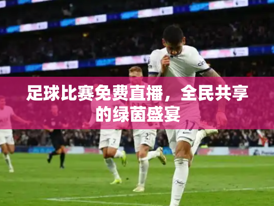 足球比赛免费直播，全民共享的绿茵盛宴