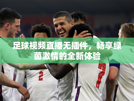 足球视频直播无插件，畅享绿茵激情的全新体验