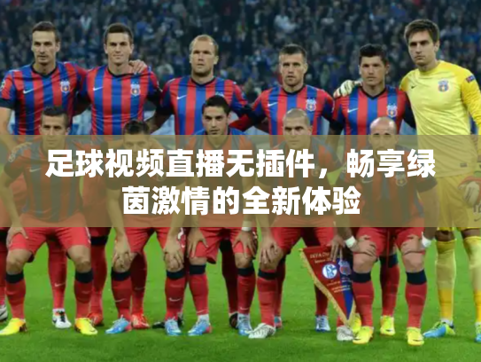 足球视频直播无插件，畅享绿茵激情的全新体验