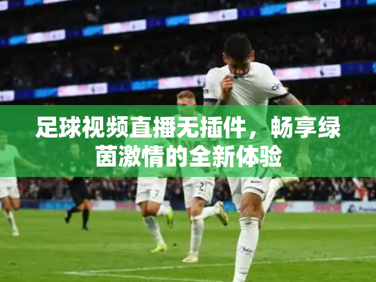 足球视频直播无插件，畅享绿茵激情的全新体验