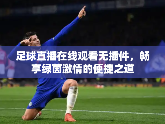 足球直播在线观看无插件，畅享绿茵激情的便捷之道