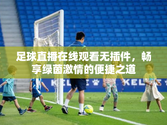 足球直播在线观看无插件，畅享绿茵激情的便捷之道
