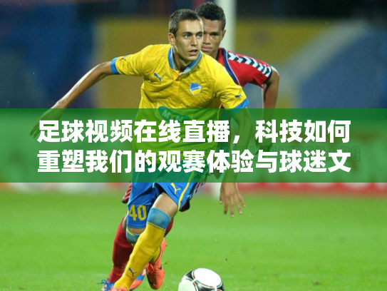 足球视频在线直播，科技如何重塑我们的观赛体验与球迷文化
