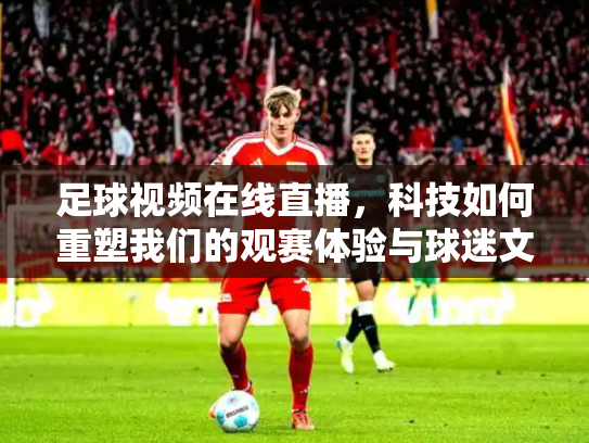 足球视频在线直播，科技如何重塑我们的观赛体验与球迷文化