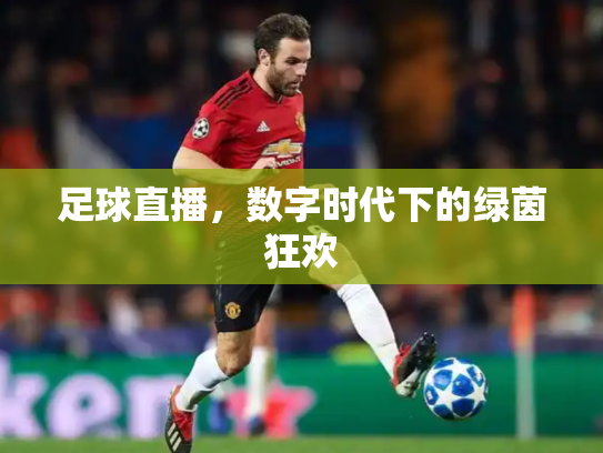 足球直播，数字时代下的绿茵狂欢