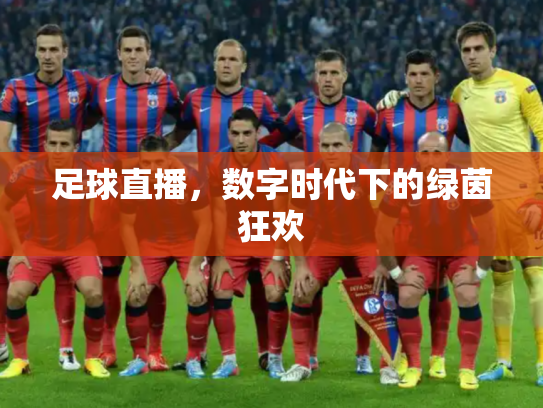 足球直播，数字时代下的绿茵狂欢