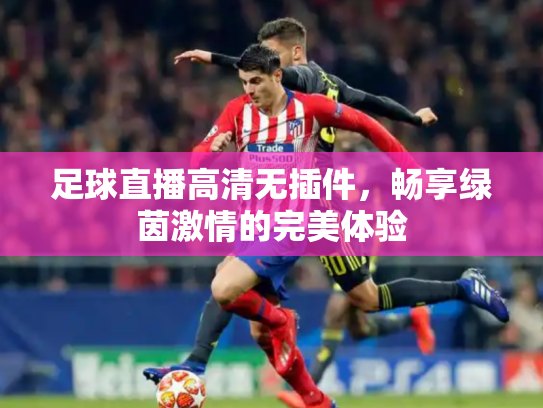 足球直播高清无插件，畅享绿茵激情的完美体验
