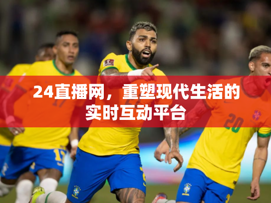 24直播网，重塑现代生活的实时互动平台
