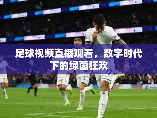 足球视频直播观看，数字时代下的绿茵狂欢