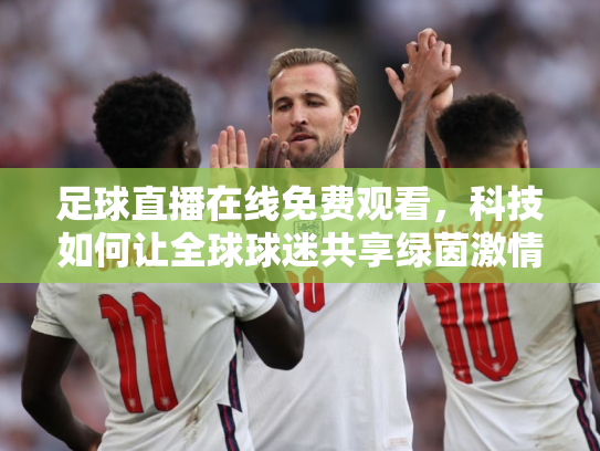 足球直播在线免费观看，科技如何让全球球迷共享绿茵激情