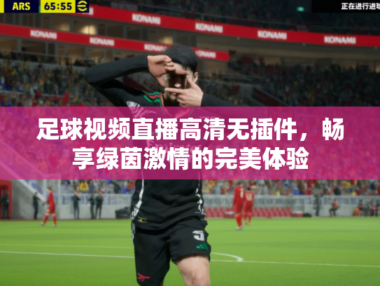 足球视频直播高清无插件，畅享绿茵激情的完美体验