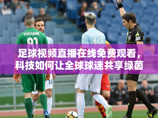 足球视频直播在线免费观看，科技如何让全球球迷共享绿茵激情