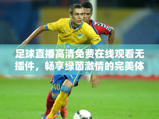 足球直播高清免费在线观看无插件，畅享绿茵激情的完美体验