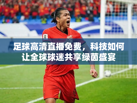 足球高清直播免费，科技如何让全球球迷共享绿茵盛宴