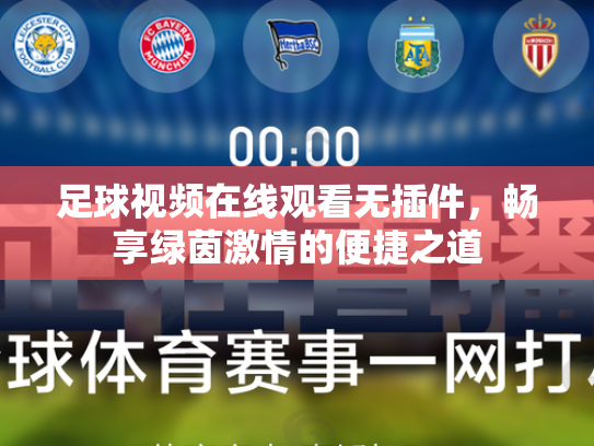 足球视频在线观看无插件，畅享绿茵激情的便捷之道