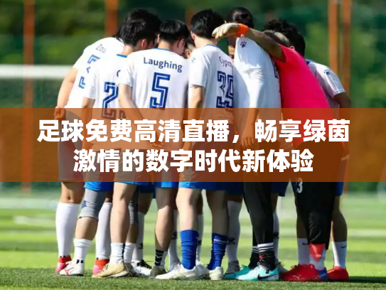 足球免费高清直播，畅享绿茵激情的数字时代新体验