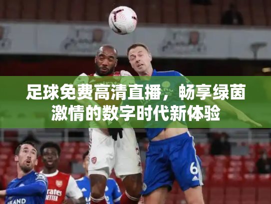 足球免费高清直播，畅享绿茵激情的数字时代新体验