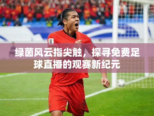 绿茵风云指尖触，探寻免费足球直播的观赛新纪元