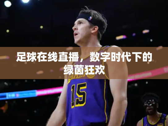 足球在线直播，数字时代下的绿茵狂欢