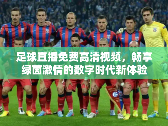 足球直播免费高清视频，畅享绿茵激情的数字时代新体验