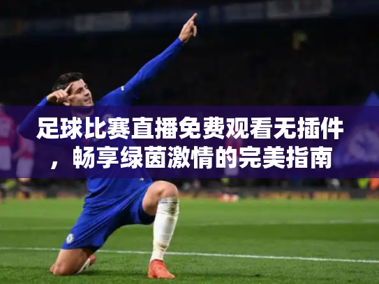 足球比赛直播免费观看无插件，畅享绿茵激情的完美指南