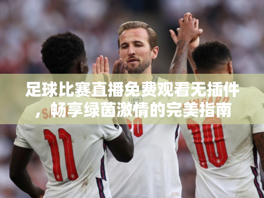 足球比赛直播免费观看无插件，畅享绿茵激情的完美指南