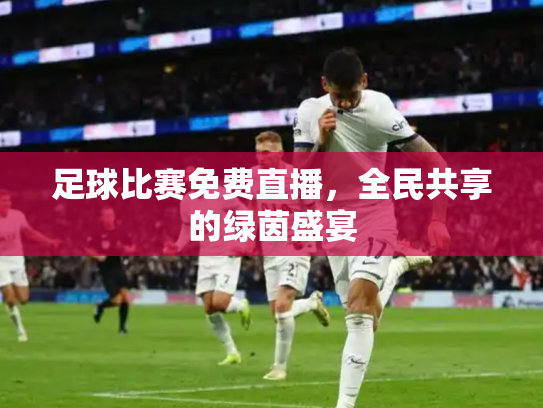 足球比赛免费直播，全民共享的绿茵盛宴