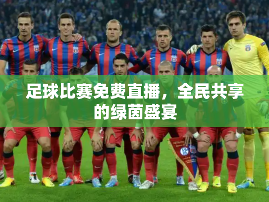足球比赛免费直播，全民共享的绿茵盛宴