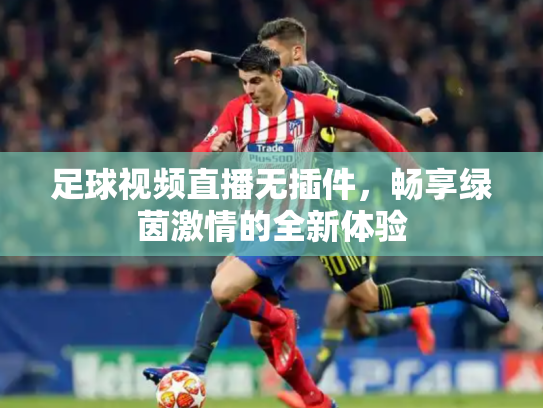 足球视频直播无插件，畅享绿茵激情的全新体验