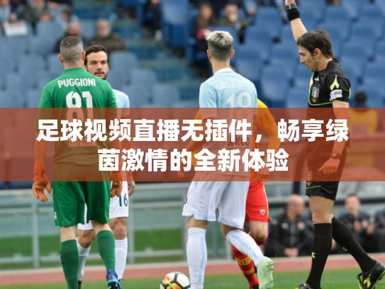 足球视频直播无插件，畅享绿茵激情的全新体验