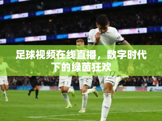 足球视频在线直播，数字时代下的绿茵狂欢