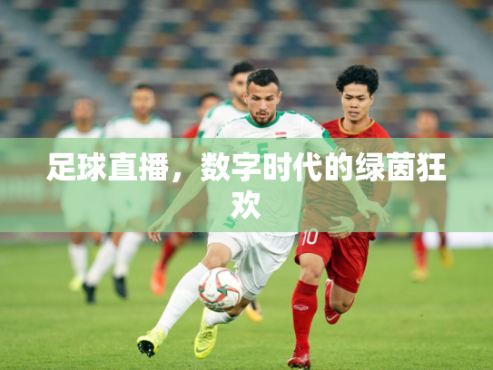 足球直播，数字时代的绿茵狂欢
