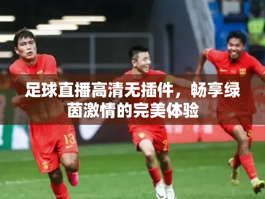 足球直播高清无插件，畅享绿茵激情的完美体验