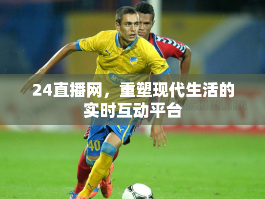 24直播网，重塑现代生活的实时互动平台