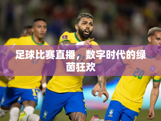 足球比赛直播，数字时代的绿茵狂欢