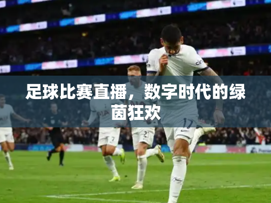 足球比赛直播，数字时代的绿茵狂欢