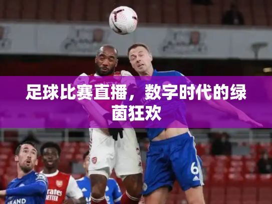 足球比赛直播，数字时代的绿茵狂欢