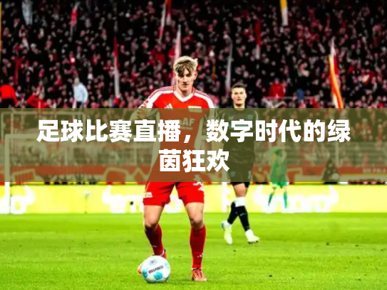 足球比赛直播，数字时代的绿茵狂欢