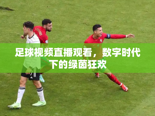 足球视频直播观看，数字时代下的绿茵狂欢
