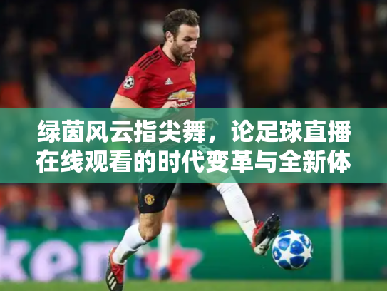 绿茵风云指尖舞，论足球直播在线观看的时代变革与全新体验