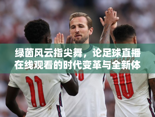 绿茵风云指尖舞，论足球直播在线观看的时代变革与全新体验