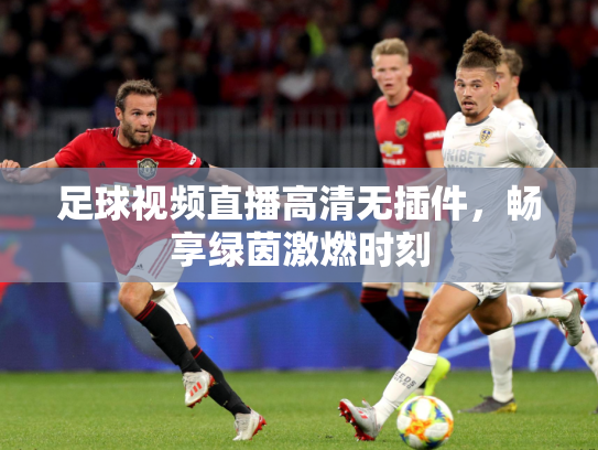 足球视频直播高清无插件，畅享绿茵激燃时刻