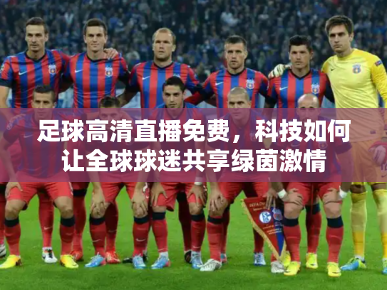足球高清直播免费，科技如何让全球球迷共享绿茵激情