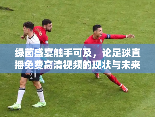 绿茵盛宴触手可及，论足球直播免费高清视频的现状与未来