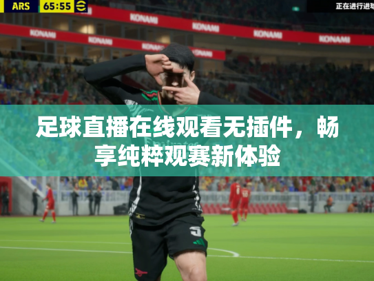 足球直播在线观看无插件，畅享纯粹观赛新体验